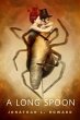 A Long Spoon (eBook, ePUB) - Bild 1