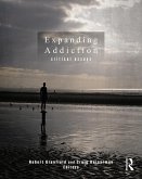 Expanding Addiction: Critical Essays (eBook, PDF)