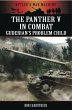 Panther V in Combat (eBook, ePUB) - Bild 1