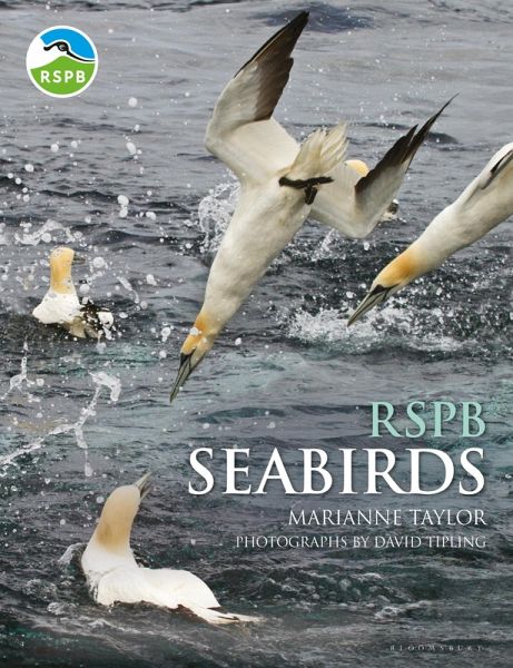 RSPB Seabirds (eBook, ePUB) RSPB Seabirds (eBook, ePUB)