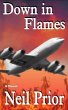 Down in Flames (eBook, ePUB) - Bild 1