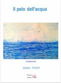 Il pelo dell'acqua (eBook, ePUB)