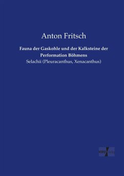 Fauna der Gaskohle und der Kalksteine der Performation Böhmens - Fritsch, Anton