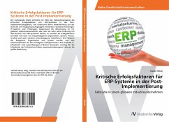 Kritische Erfolgsfaktoren für ERP-Systeme in der Post-Implementierung - Holub, Harald