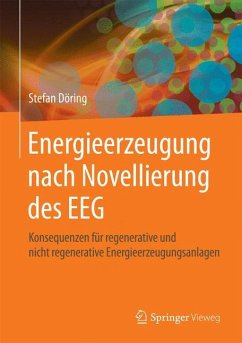 Energieerzeugung nach Novellierung des EEG - Döring, Stefan