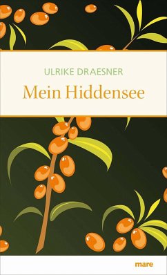 Mein Hiddensee - Draesner, Ulrike