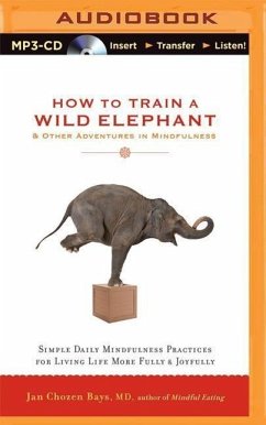 How to Train a Wild Elephant & Other Adventures in Mindfulness: Simple Daily Mindfulness Practices for Living Life More Fully & Joyfully - Bays, Jan Chozen