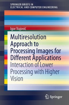 Multiresolution Approach to Processing Images for Different Applications - Vujovic, Igor