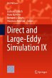 Direct and Large-Eddy Simulation IX - Bild 1