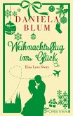 Weihnachtsflug ins Glück (eBook, ePUB)