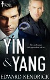 Yin and Yang (eBook, ePUB)