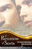 A Reunion of Sorts - A Sexy Victorian-Era Historical Romance Novelette from Steam Books (eBook, ePUB)
