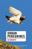 Urban Peregrines (eBook, ePUB)