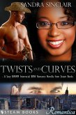 Twists and Curves - A Sexy BWWM Interracial BBW Romance Novella from Steam Books (eBook, ePUB) Twists and Curves - A Sexy BWWM Interracial BBW Romance Novella from Steam Books (eBook, ePUB)