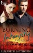 Burning Intensity (eBook, ePUB) - Bild 1