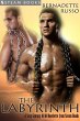 The Labyrinth - A Sexy Fantasy M/M... - Bild 1