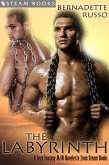 The Labyrinth - A Sexy Fantasy M/M Novelette from Steam Books (eBook, ePUB)