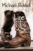 Life, A Little Brown Dog, and Shite Like That (eBook, ePUB)