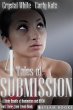 4 TALES OF SUBMISSION - A Kinky Bundle... - Bild 1