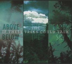 Above The Earth,Below The Sky - If These Trees Could Talk