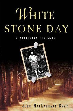 White Stone Day (eBook, ePUB) - Gray, John Maclachlan