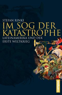 Im Sog der Katastrophe (eBook, PDF) - Rinke, Stefan