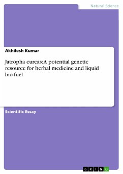 Jatropha curcas: A potential genetic resource for herbal medicine and liquid bio-fuel (eBook, PDF) - Kumar, Akhilesh
