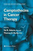 Camptothecins in Cancer Therapy