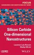 Silicon Carbide One-Dimensional... - Bild 1