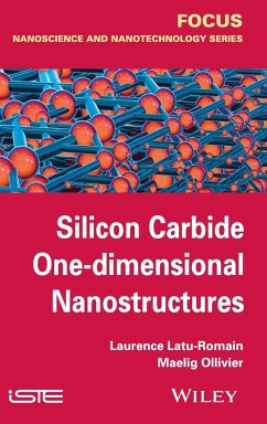 Silicon Carbide One-Dimensional Nanostructures - Latu-Romain, Laurence; Ollivier, Maelig