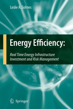 Energy Efficiency - Solmes, Leslie A.
