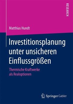 Investitionsplanung unter unsicheren Einflussgrößen - Hundt, Matthias