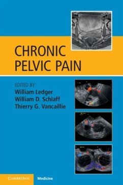 Cover Chronic Pelvic Pain (eBook, PDF)