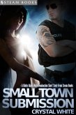 Small Town Submission - A Kinky Alpha Male Domination Short Story From Steam Books (eBook, ePUB)