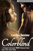 Colorblind - A Sensual Interracial BWWM Historical Erotic Romance Short Story from Steam Books (eBook, ePUB) Colorblind - A Sensual Interracial BWWM Historical Erotic Romance Short Story from Steam Books (eBook, ePUB)