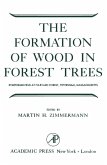 The Formation of Wood in Forest Trees (eBook, PDF)