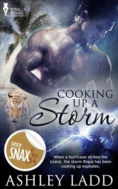 Cooking Up a Storm (eBook, ePUB) - Ladd, Ashley