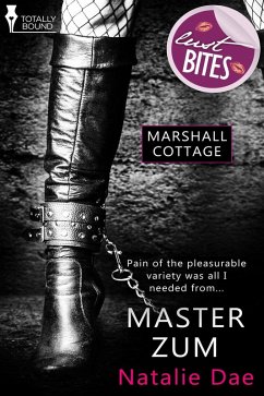 Cover Master Zum (eBook, ePUB)