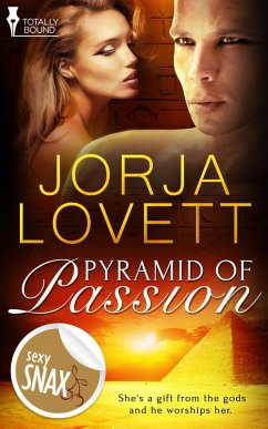 Cover Pyramid of Passion (eBook, ePUB)