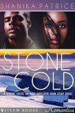 Stone Cold - A Sexy Erotic Romance Novelette from Steam Books (eBook, ePUB)