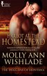Harlot at the Homestead (eBook, ePUB) - Bild 1