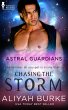 Chasing the Storm (eBook, ePUB) - Bild 1