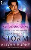 Chasing the Storm (eBook, ePUB)