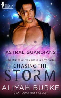 Cover Chasing the Storm (eBook, ePUB)