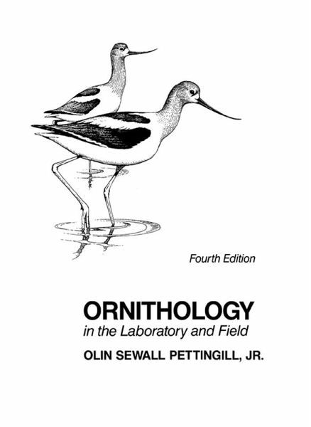 Ornithology in Laboratory and Field (eBook, PDF) Ornithology in Laboratory and Field (eBook, PDF)