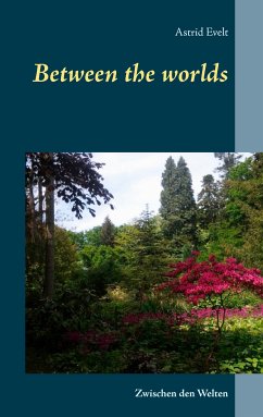 Between the worlds (eBook, ePUB)