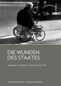 Die Wunden des Staates - Wendelin, Harald;Pawlowsky, Verena