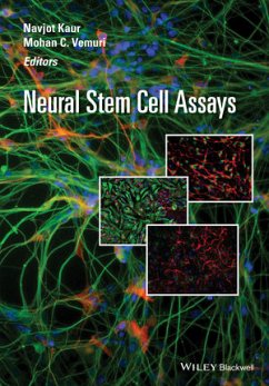 Neural Stem Cell Assays (eBook, PDF)