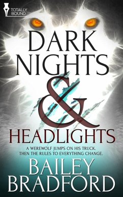 Dark Nights and Headlights (eBook, ePUB) - Bradford, Bailey