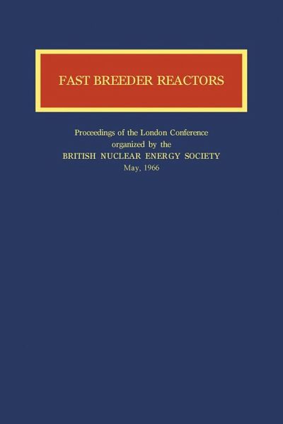 Fast Breeder Reactors (eBook, PDF)